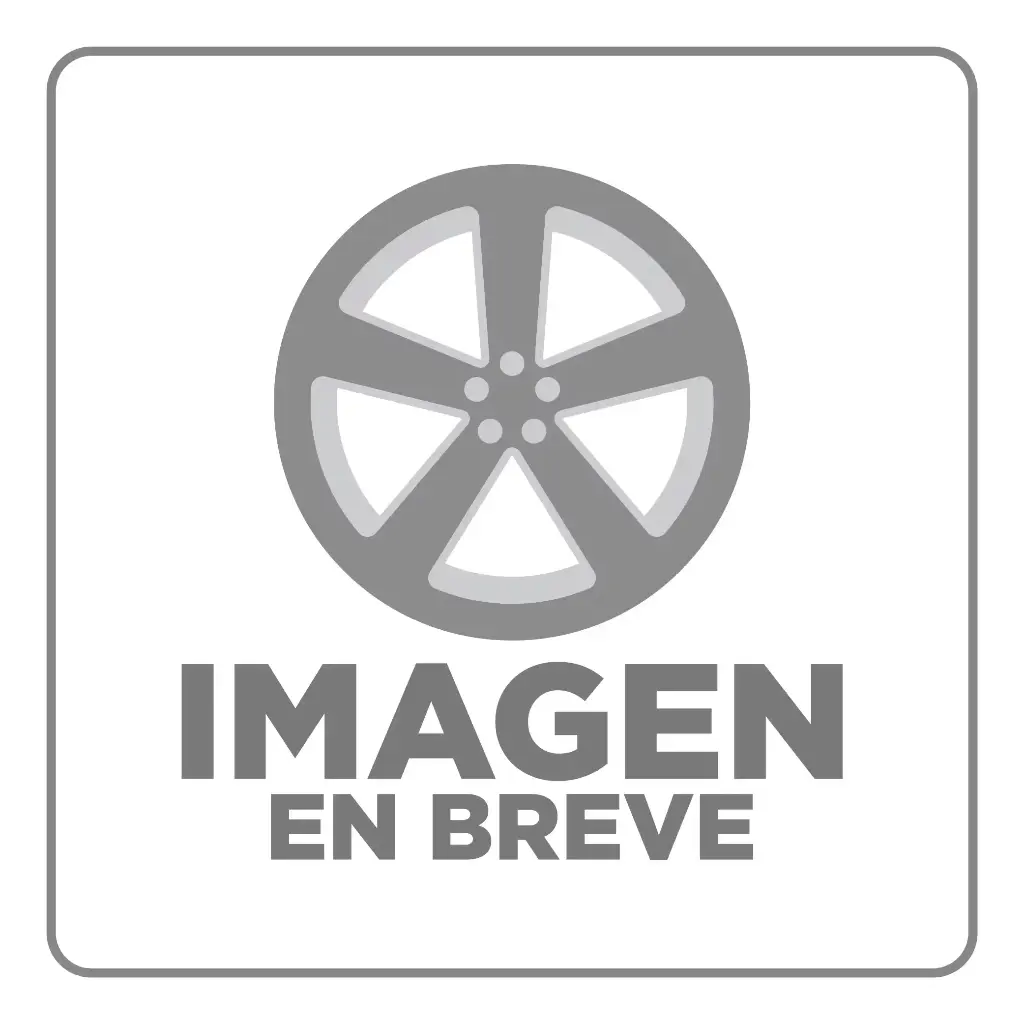 RIN 17X8 4-100/114.3 R1 SPORT 7953F BB SILVER MI GOLD RIVETS ET20 CB73.1